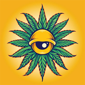 @rastaMafia at Rasta Notes